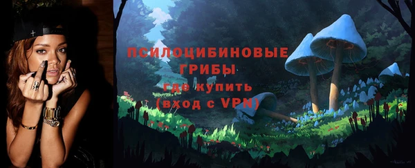 соль ск Ветлуга