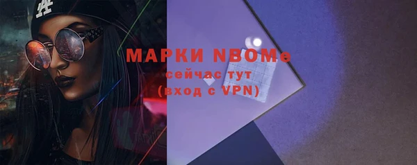 соль ск Ветлуга