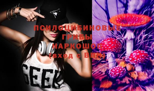 метадон Валдай
