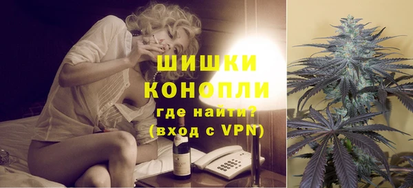 соль ск Ветлуга