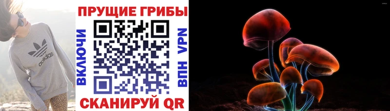 площадка какой сайт  как найти закладки  Комсомольск  Галлюциногенные грибы GOLDEN TEACHER  mega зеркало 